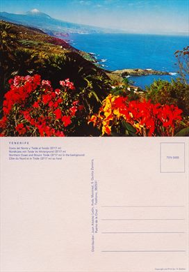 Espanha Tenerife Costa del Norte