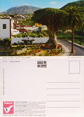 Espanha Tenerife Icod de los Vinos