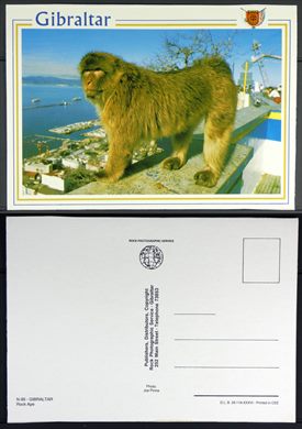 Gibraltar N-95 - Rock Photographic Service