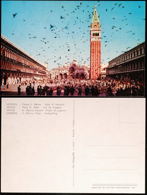 Italia Venezia - Piazza S. Marco - Volo di colombi