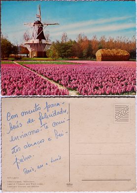Paises Baixos, terra de flores e moinhos de vento - 900-52