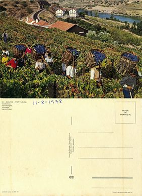 Portugal, Douro - 51