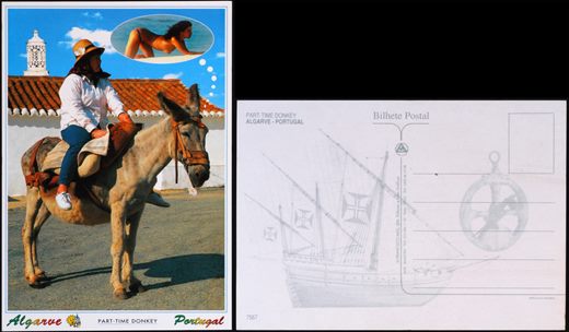 Portugal Algarve Part-time Donkey 7567