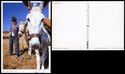 Portugal Algarve 89022 (Olimar)