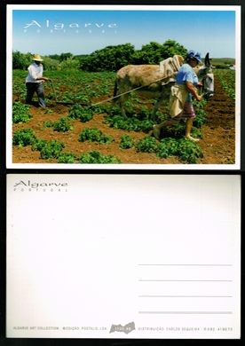 Portugal, Algarve 1100.98