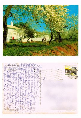 Portugal Algarve - Cesar de Sa 273