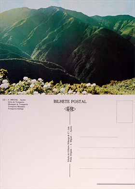 Portugal S. Miguel Serra da Tronqueira - 122