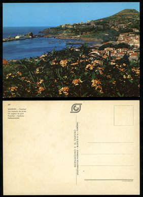 Portugal, Madeira, Funchal 287