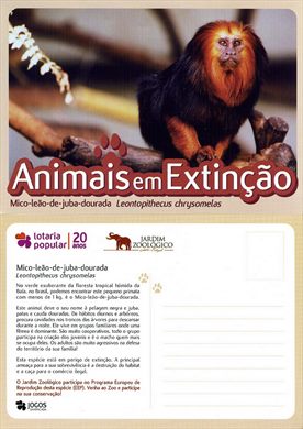 Portugal Lisboa Jardim Zoologico AeE Mico-leao-de-juba-dourada