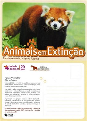 Portugal Lisboa Jardim Zoologico AeE Panda-Vermelho