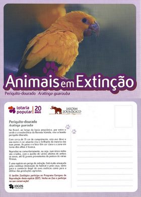Portugal Lisboa Jardim Zoologico AeE Periquito-dourado