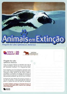 Portugal Lisboa Jardim Zoologico AeE Pinguim-do-cabo