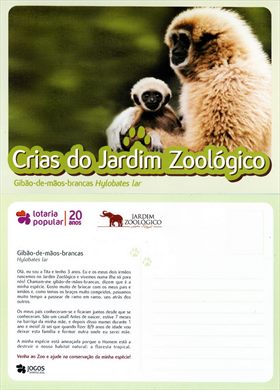 Portugal Lisboa Jardim Zoologico Crias Gibao-de-maos-brancas