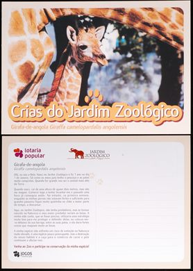 Portugal Lisboa Jardim Zoologico Crias Girafa-de-angola