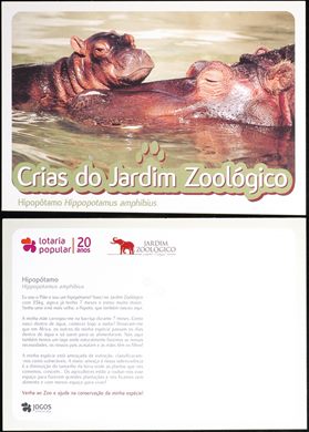 Portugal Lisboa Jardim Zoologico Crias Hipopotamo