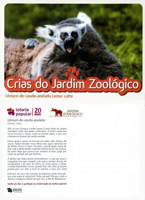 Portugal Lisboa Jardim Zoologico Crias Lemure-de-cauda-anelada
