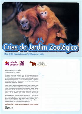 Portugal Lisboa Jardim Zoologico Crias Mico-leao-dourado
