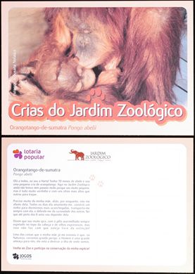 Portugal Lisboa Jardim Zoologico Crias Orangotango-de-sumatra