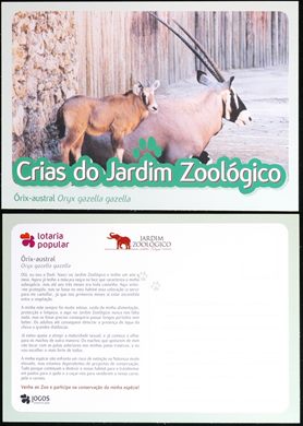 Portugal Lisboa Jardim Zoologico Crias Orix-austral