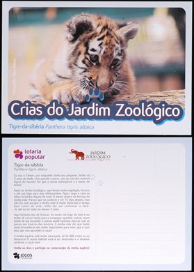 Portugal Lisboa Jardim Zoologico Crias Tigre-da-siberia