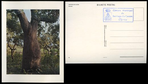 Portugal, Santiago do Cacem, Montado 18