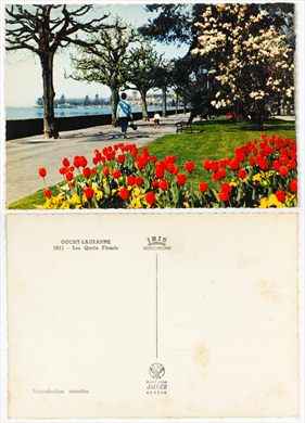 Suica - Ouchy-Lausanne 1611