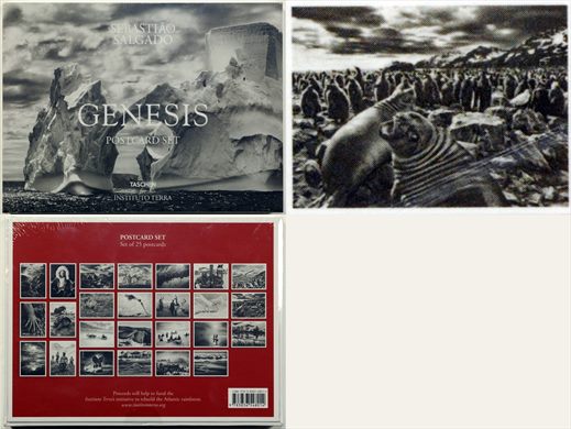 Sebastiao Salgado - Genesis - Postcard Set 08