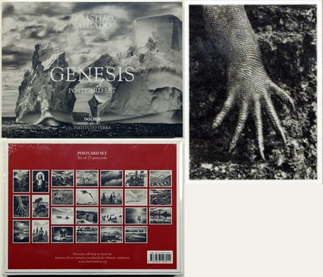 Sebastiao Salgado - Genesis - Postcard Set 12