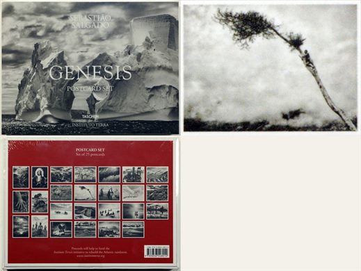 Sebastiao Salgado - Genesis - Postcard Set 15