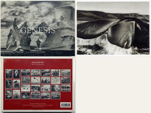 Sebastiao Salgado - Genesis - Postcard Set 16