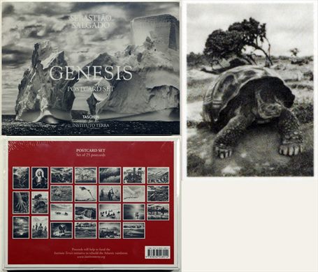 Sebastiao Salgado - Genesis - Postcard Set 20
