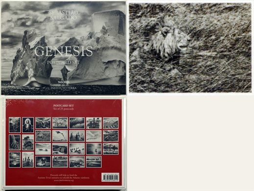 Sebastiao Salgado - Genesis - Postcard Set 21