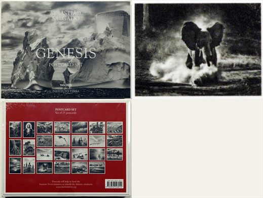 Sebastiao Salgado - Genesis - Postcard Set 23