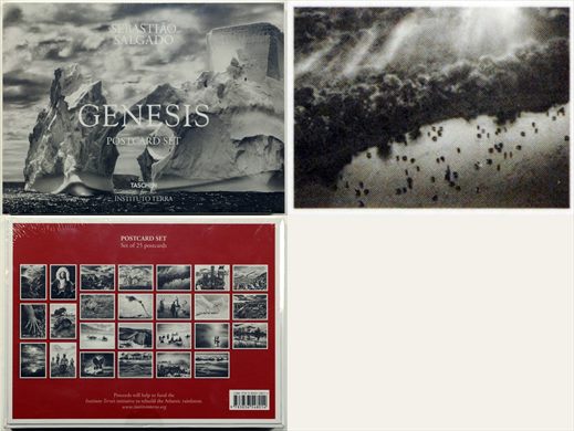 Sebastiao Salgado - Genesis - Postcard Set 24