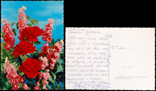 Flores 974 (Cecami)