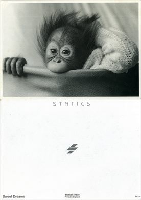 Macaco - Sweet Dreams (Statics)