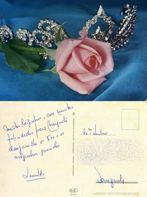 Rosa - CyZ - 6143