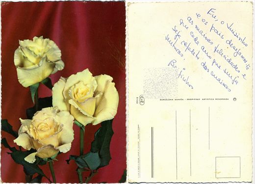 Rosa - CyZ - 6193