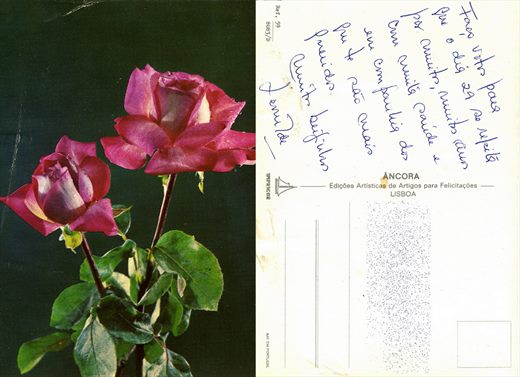 Rosas - Ancora - Impricor- Ref.59 8083-D