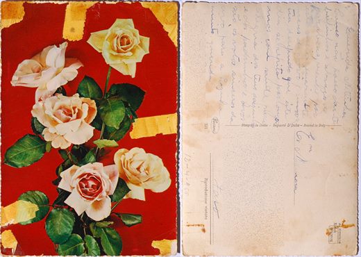 Rosas - Cecani - 321
