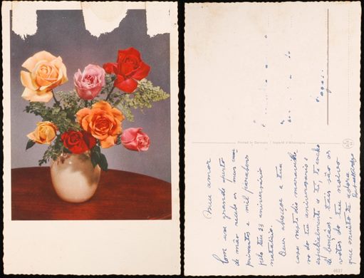 Rosas 4637 (AFKH)