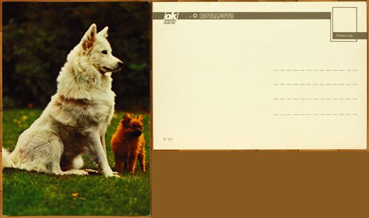 Rotalfoto R 707