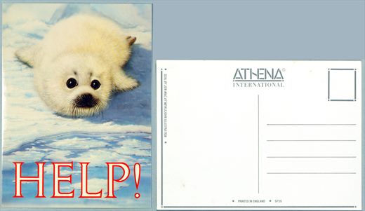 Athena International 9755
