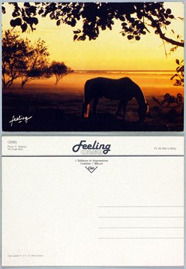 Feeling Combier F1 99 906 0 0002