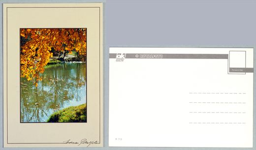 Rotalfoto R 713 (2)