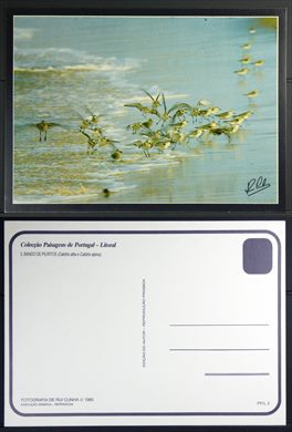 Coleccao Paisagens de portugal - Litoral 3