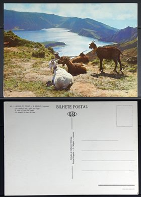 Portugal, Acores, S. Miguel, Lagoa do Fogo 44