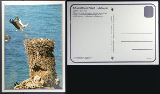 Portugal, Costa Sudoeste, Cegonha 7 - Coleccao Patrimonio Natural