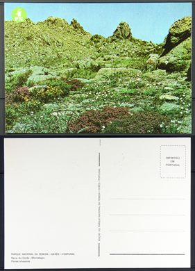 Portugal, Geres, Parque Nacional da Peneda, Flores silvestres