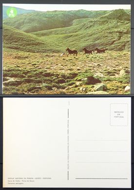 Portugal, Geres, Parque Nacional da Peneda, Garranos salvagens